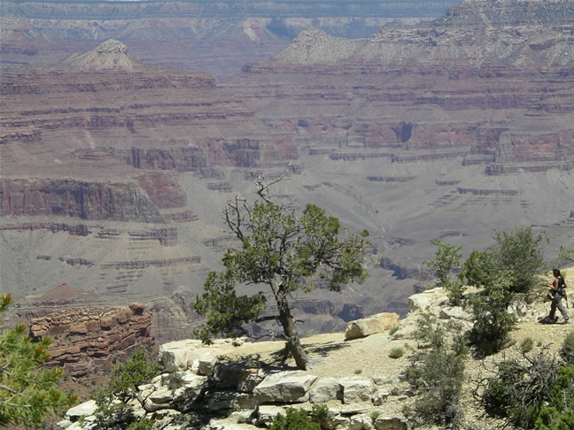 images/D-Canyon View - Trail to Maricopa Point (7).jpg